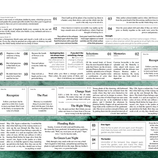 Little paragraph Text PET tape (W512)