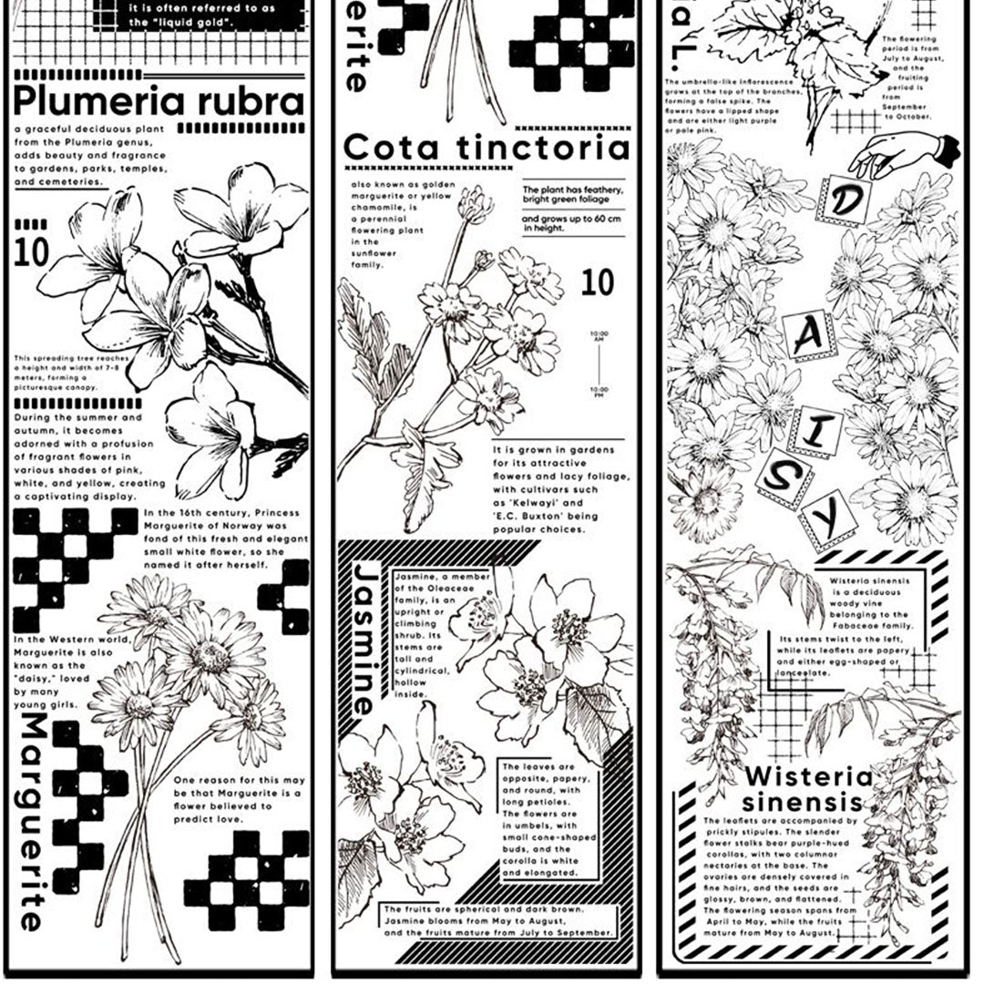 Flower Dictionary Washi tape (W516)