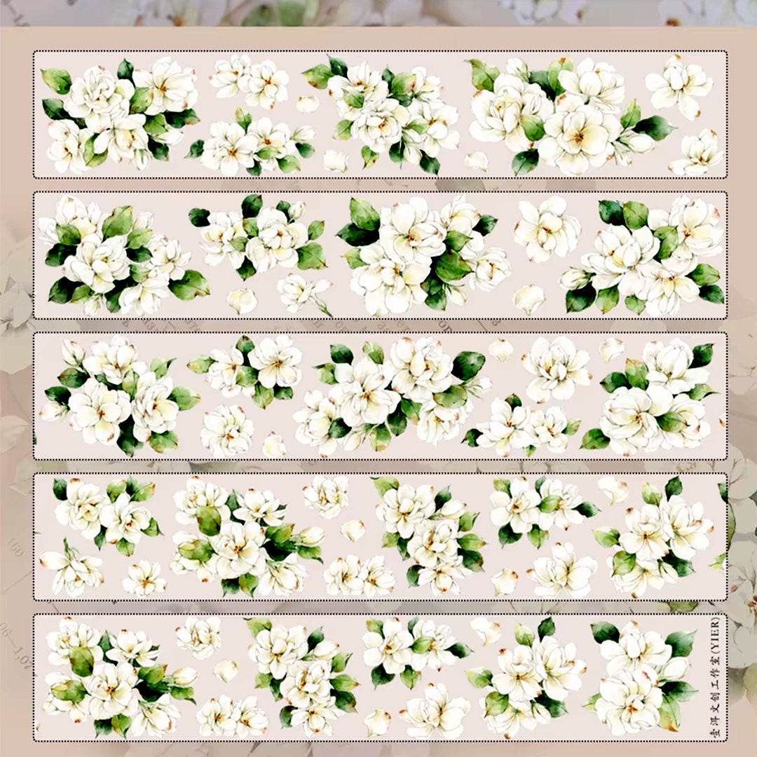 Jasmin PET tape (F522)