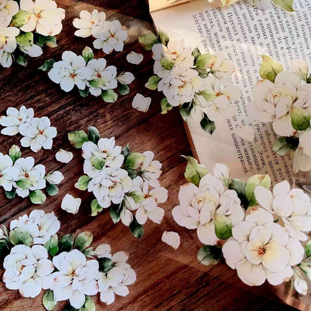 Jasmin PET tape (F522)