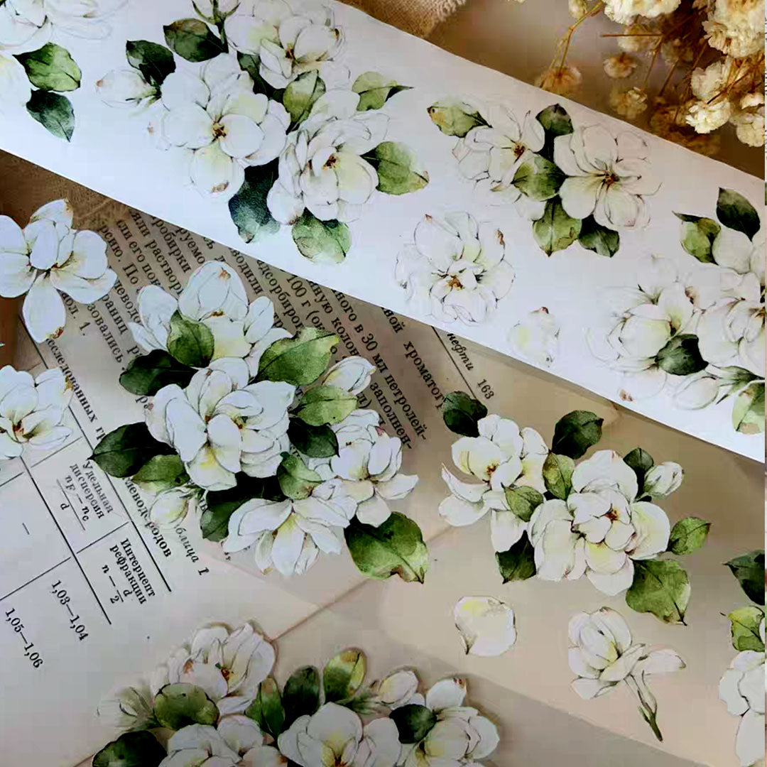 Jasmin PET tape (F522)