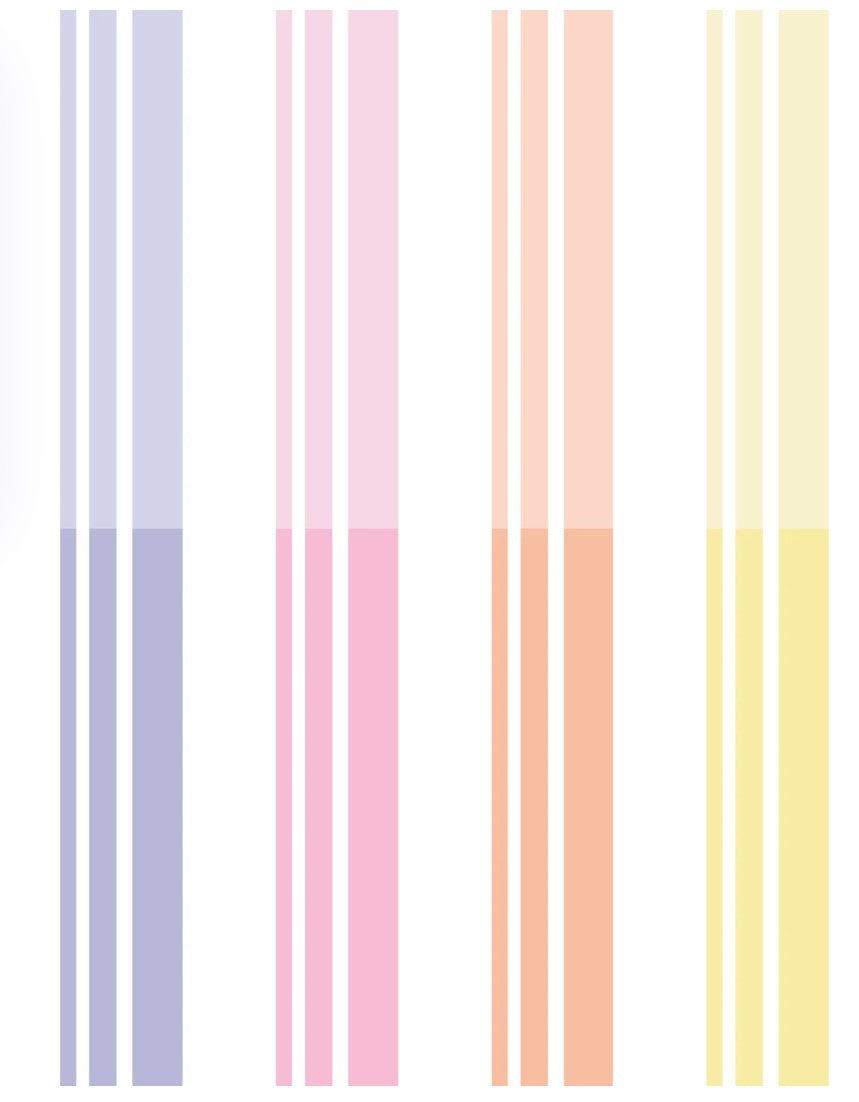Color Bars basic washi tapes (B542)